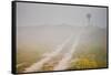 Ranch Road and Windmill in Fog, Texas, USA-Larry Ditto-Framed Stretched Canvas