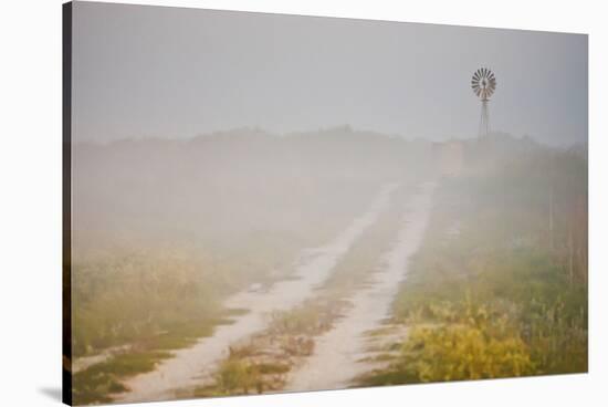 Ranch Road and Windmill in Fog, Texas, USA-Larry Ditto-Stretched Canvas