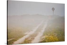 Ranch Road and Windmill in Fog, Texas, USA-Larry Ditto-Stretched Canvas