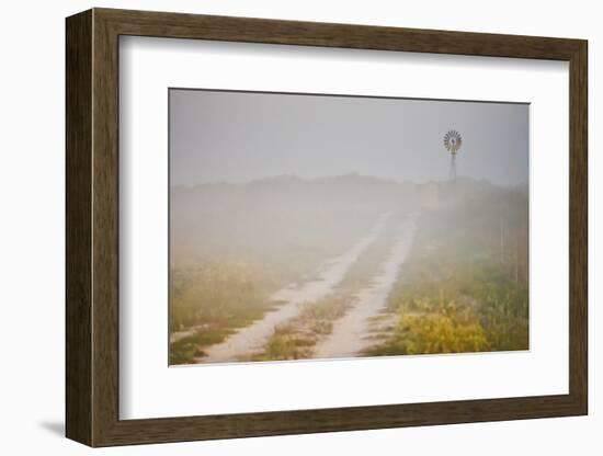 Ranch Road and Windmill in Fog, Texas, USA-Larry Ditto-Framed Photographic Print