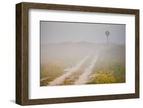 Ranch Road and Windmill in Fog, Texas, USA-Larry Ditto-Framed Photographic Print