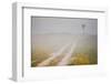 Ranch Road and Windmill in Fog, Texas, USA-Larry Ditto-Framed Photographic Print