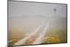 Ranch Road and Windmill in Fog, Texas, USA-Larry Ditto-Mounted Photographic Print