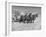 Rancher Dragging Mound of Hay to Feed His Beef Cattle at the Abbott Ranch-Bernard Hoffman-Framed Photographic Print