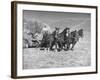 Rancher Dragging Mound of Hay to Feed His Beef Cattle at the Abbott Ranch-Bernard Hoffman-Framed Photographic Print