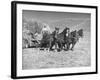 Rancher Dragging Mound of Hay to Feed His Beef Cattle at the Abbott Ranch-Bernard Hoffman-Framed Photographic Print