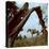 Rancher Leading Horse Across Field as Seen Through Branches of Fallen Tree, Trinchera Ranch-Loomis Dean-Stretched Canvas