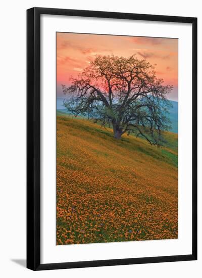 Rancheria-Mark Geistweite-Framed Photographic Print