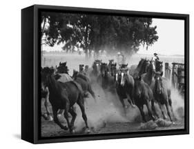 Ranchers Corralling Horses on Pirovano Ranch-Leonard Mccombe-Framed Stretched Canvas