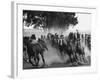 Ranchers Corralling Horses on Pirovano Ranch-Leonard Mccombe-Framed Photographic Print