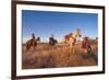 Ranchers with their horses, Horseshoe Working Ranch, Arizona, USA-null-Framed Premium Giclee Print