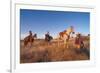 Ranchers with their horses, Horseshoe Working Ranch, Arizona, USA-null-Framed Premium Giclee Print