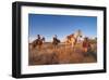 Ranchers with their horses, Horseshoe Working Ranch, Arizona, USA-null-Framed Art Print