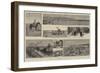 Ranching in the Canadian North-West-null-Framed Giclee Print