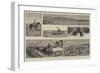 Ranching in the Canadian North-West-null-Framed Giclee Print