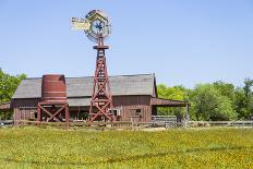 DeZwaan' windmill on Windmill Island, Holland, Michigan, USA-Randa Bishop-Photographic Print