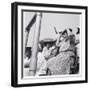 Randall's Island Baseball Spectators cheering, NY, 1936, 1936-Lucien Aigner-Framed Photographic Print