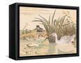 Canvas Black