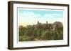 Randolph Macon Woman's College, Lynchburg, Virginia-null-Framed Art Print