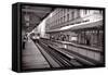 Randolph Street Station Chicago-Steve Gadomski-Framed Stretched Canvas