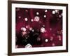 Random Universe-Christian Darkin-Framed Premium Photographic Print