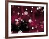 Random Universe-Christian Darkin-Framed Photographic Print