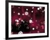 Random Universe-Christian Darkin-Framed Photographic Print