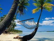 Hammock Hanging Seaside-Randy Faris-Framed Photographic Print