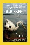 Cover of the June, 2000 National Geographic Magazine-Randy Olson-Mounted Premium Photographic Print