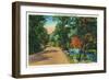 Rangeley Lakes, Maine, View of a Scenic Road to the Lakes-Lantern Press-Framed Art Print