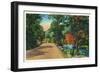 Rangeley Lakes, Maine, View of a Scenic Road to the Lakes-Lantern Press-Framed Art Print