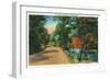 Rangeley Lakes, Maine, View of a Scenic Road to the Lakes-Lantern Press-Framed Art Print