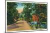 Rangeley Lakes, Maine, View of a Scenic Road to the Lakes-Lantern Press-Mounted Art Print