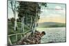 Rangeley Lakes, Maine - View of the Lake Shore-Lantern Press-Mounted Art Print