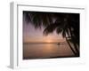 Rangiroa, Tuamotu Archipelago, French Polynesia Islands-Sergio Pitamitz-Framed Photographic Print