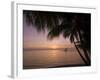 Rangiroa, Tuamotu Archipelago, French Polynesia Islands-Sergio Pitamitz-Framed Photographic Print