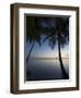 Rangiroa, Tuamotu Archipelago, French Polynesia Islands-Sergio Pitamitz-Framed Photographic Print