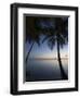 Rangiroa, Tuamotu Archipelago, French Polynesia Islands-Sergio Pitamitz-Framed Photographic Print