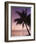 Rangiroa, Tuamotu Archipelago, French Polynesia Islands-Sergio Pitamitz-Framed Photographic Print