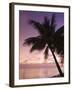 Rangiroa, Tuamotu Archipelago, French Polynesia Islands-Sergio Pitamitz-Framed Photographic Print