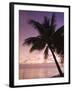 Rangiroa, Tuamotu Archipelago, French Polynesia Islands-Sergio Pitamitz-Framed Photographic Print