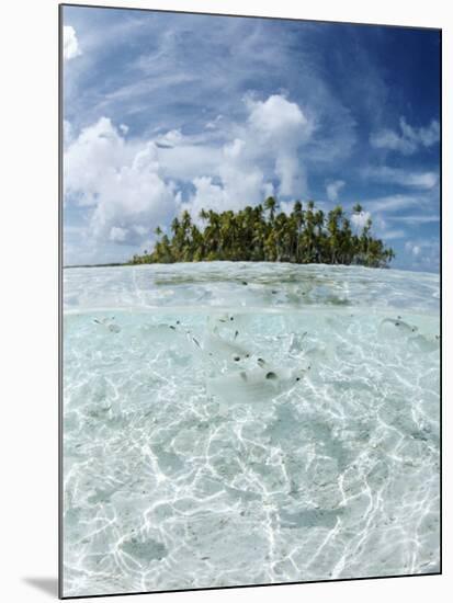 Rangiroa, Tuamotu Archipelago, French Polynesia, Pacific Islands, Pacific-Sergio Pitamitz-Mounted Photographic Print