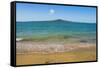 Rangitoto Island, Hauraki Gulf, Auckland, North Island, New Zealand, Pacific-Matthew Williams-Ellis-Framed Stretched Canvas