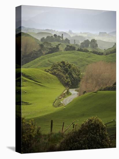 Rangiwahia Road, Winding Through Sheep Pasture in Rural Manawatu, North Island, New Zealand-Smith Don-Stretched Canvas