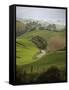 Rangiwahia Road, Winding Through Sheep Pasture in Rural Manawatu, North Island, New Zealand-Smith Don-Framed Stretched Canvas