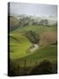 Rangiwahia Road, Winding Through Sheep Pasture in Rural Manawatu, North Island, New Zealand-Smith Don-Stretched Canvas