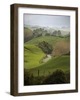 Rangiwahia Road, Winding Through Sheep Pasture in Rural Manawatu, North Island, New Zealand-Smith Don-Framed Photographic Print