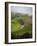 Rangiwahia Road, Winding Through Sheep Pasture in Rural Manawatu, North Island, New Zealand-Smith Don-Framed Photographic Print