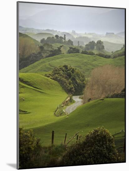 Rangiwahia Road, Winding Through Sheep Pasture in Rural Manawatu, North Island, New Zealand-Smith Don-Mounted Photographic Print