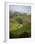 Rangiwahia Road, Winding Through Sheep Pasture in Rural Manawatu, North Island, New Zealand-Smith Don-Framed Photographic Print